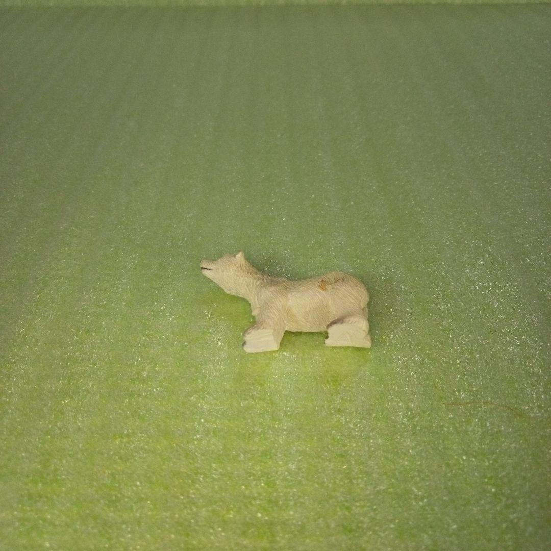 polar bear